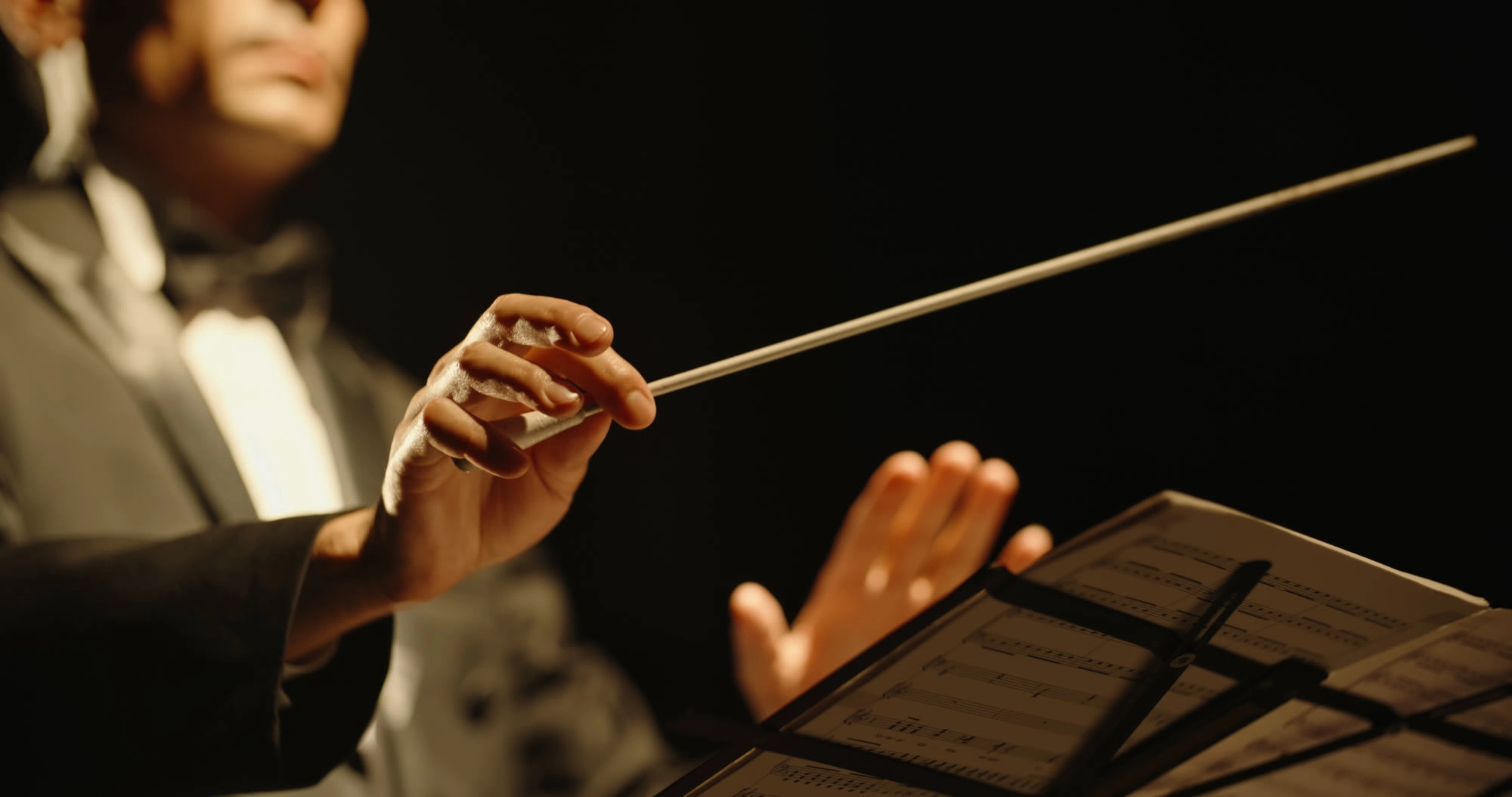 Direttore d'orchestra che guida l'esecuzione